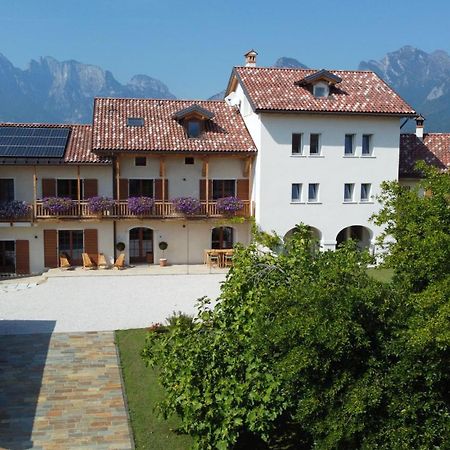Corte Varola B&B Zia Marisa Belluno Eksteriør bilde